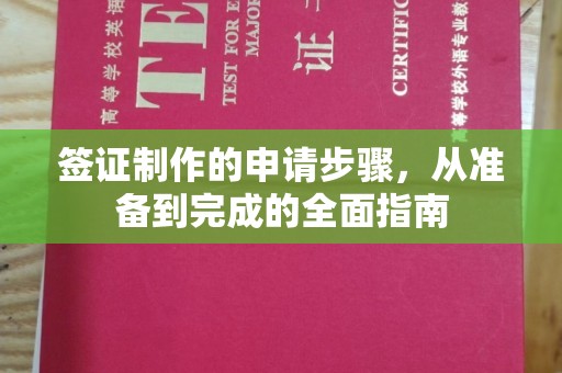 惠来签证制作的申请步骤，从准备到完成的全面指南
